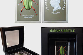 2026 Manuka‑Käfer 2‑Unzen‑Silber‑Proof‑Münze