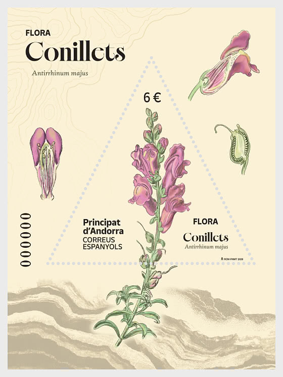 2026 Antirrhinum Majus-Conillets - Hojas Bloque CTO