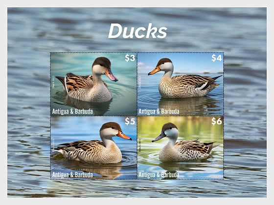 2023 鸭子 - 小版张