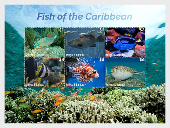2023 Pesci dei Caraibi - Minifogli