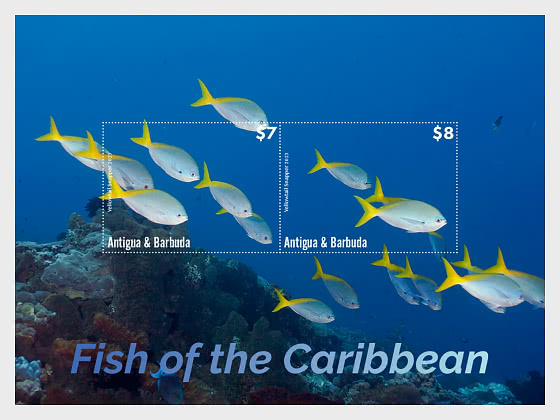 2023 Pesci dei Caraibi - Foglietti