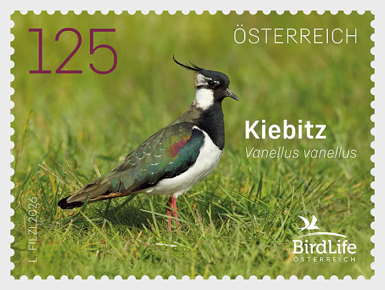 2026 Pavoncella Settentrionale - Serie