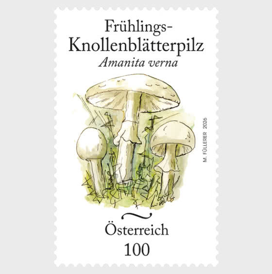 2026 Champignon des Fous - Séries
