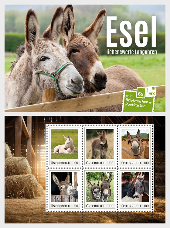2026 Carnet de Cartes Postales – Ânes, Attachantes Créatures aux Longues Oreilles - Collectable