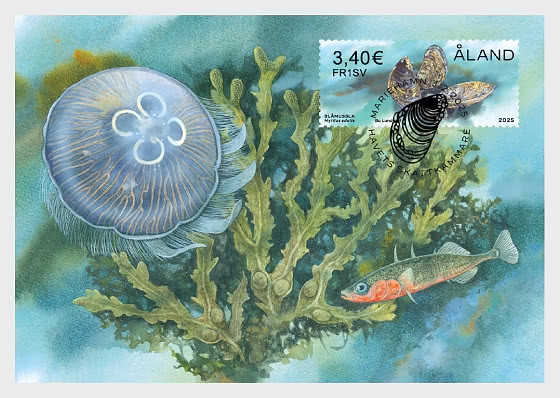 2025 Etiquetas de Franqueo - Tesoros del Mar - Maxi Cards