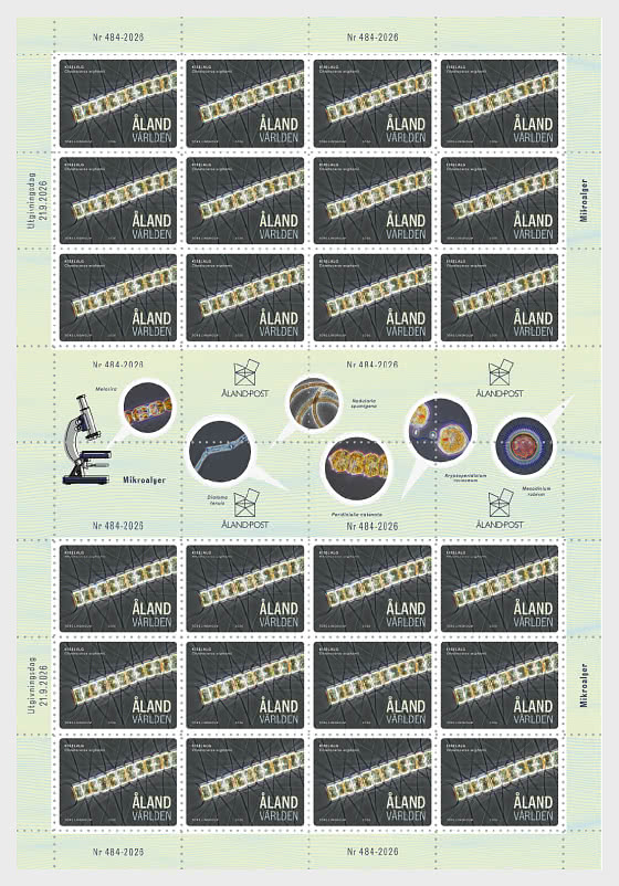 2026 PRE-ORDER 微藻 - Full sheets