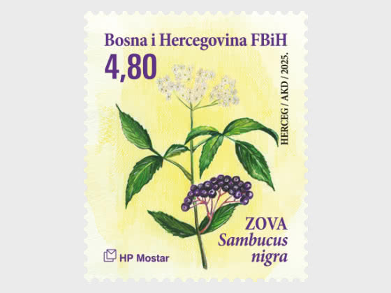 2025 Flora - Набор