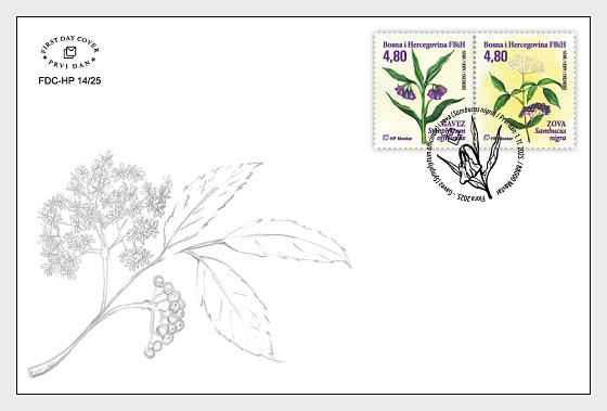2025 Flora - FDC