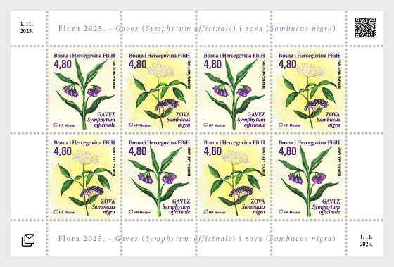 2025 Flora - Bogenserie