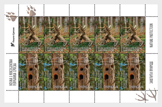 2026 Protección de la Naturaleza - Mini Hojas