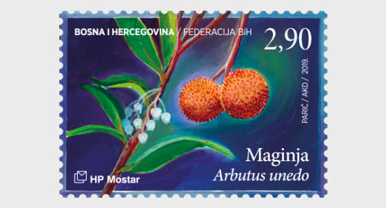 2019 Flora - Arbutus Unedo - Set