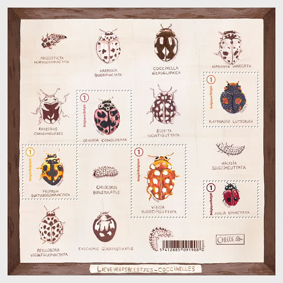 2026 Ladybirds - Sheetlets
