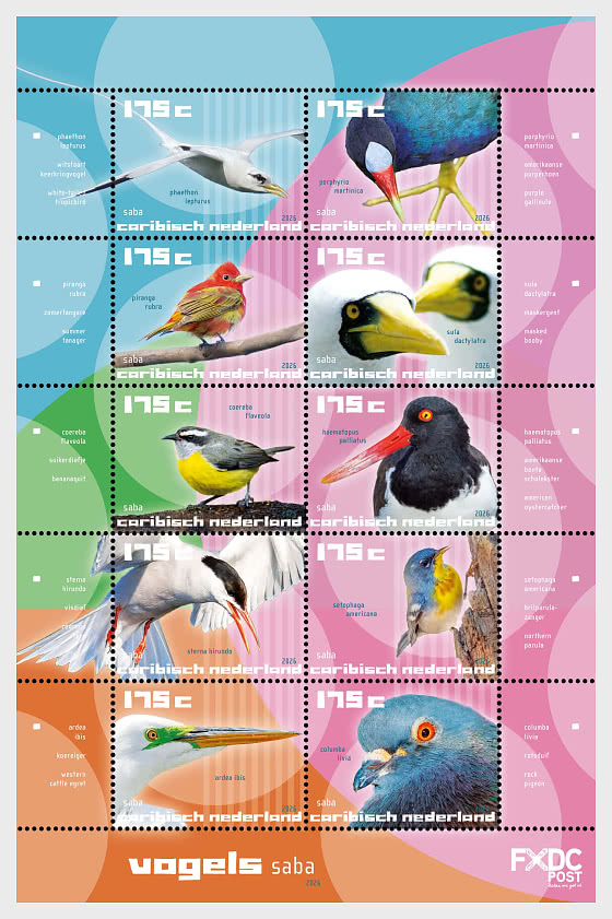 2026 Saba - Birds of the Island - Sheetlets