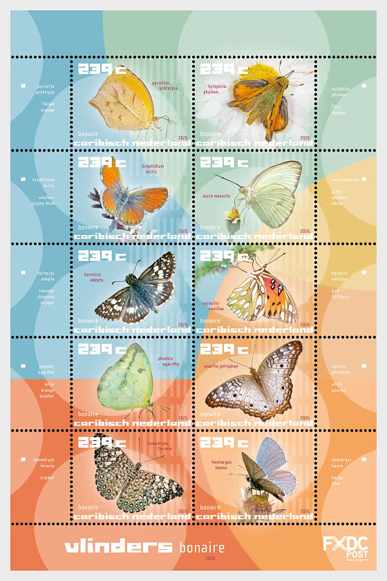 2026 Bonaire - Butterflies - Sheetlets