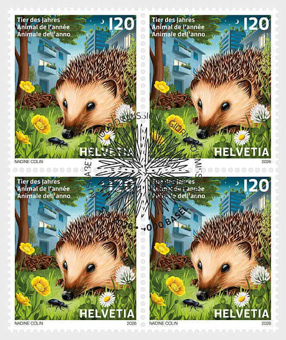 2026 PRE-ORDER 年度动物——欧洲刺猬 - 方联 CTO