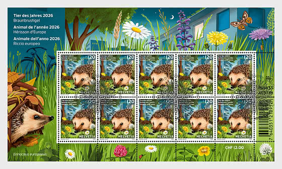 2026 PRE-ORDER Tier des Jahres - Braunbrustigel - Bogenserie CTO