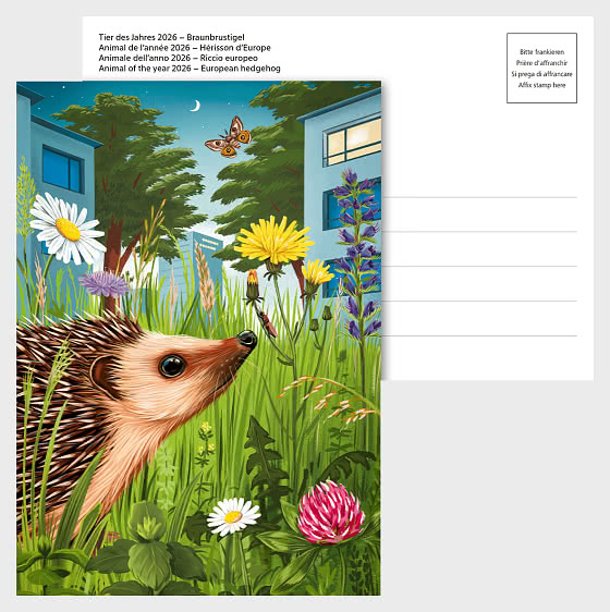 2026 PRE-ORDER 年度动物——欧洲刺猬 - 邮票和明信片