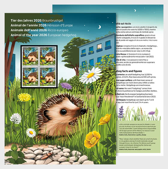 2026 PRE-ORDER 年度动物——欧洲刺猬 - 小型张