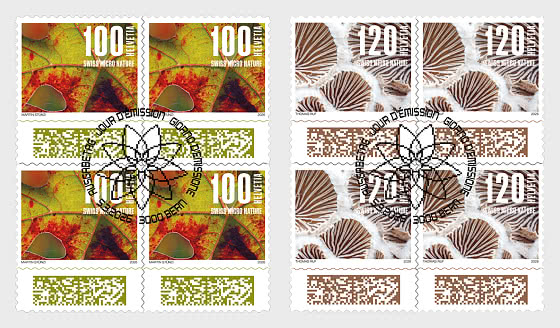 2026 PRE-ORDER 自然图案 - 方联 CTO