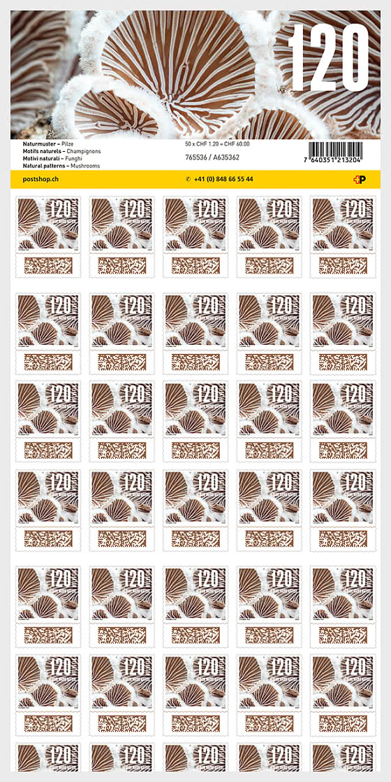 2026 PRE-ORDER 自然图案 - Full sheets