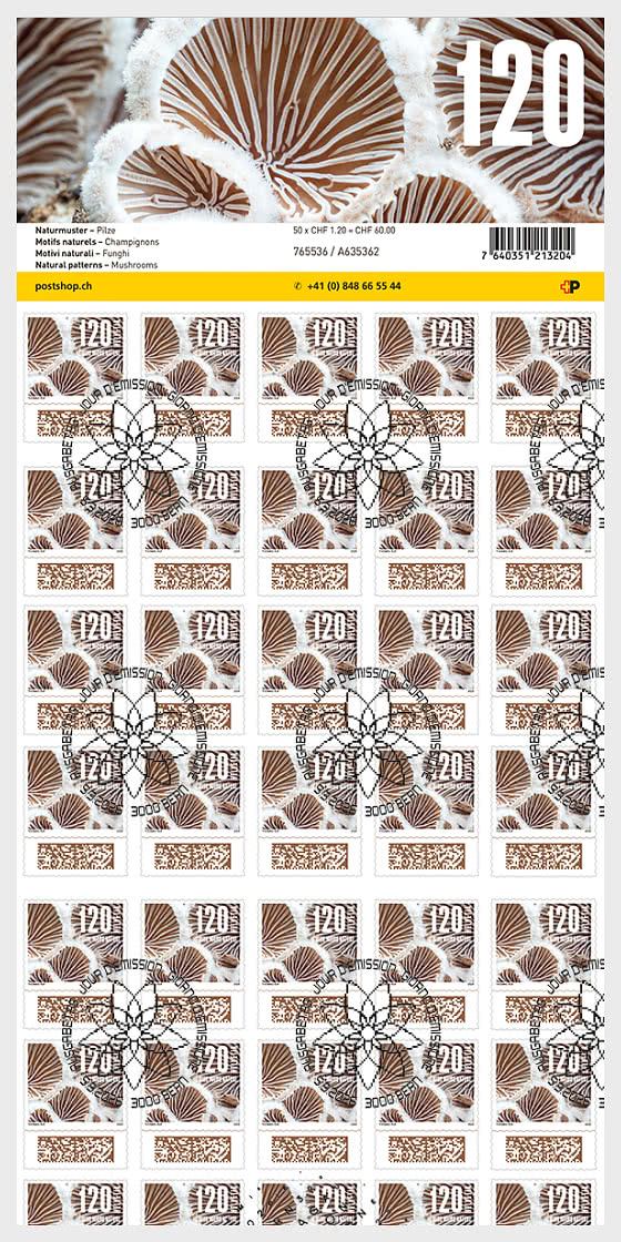 2026 PRE-ORDER 自然图案 - Full sheets CTO