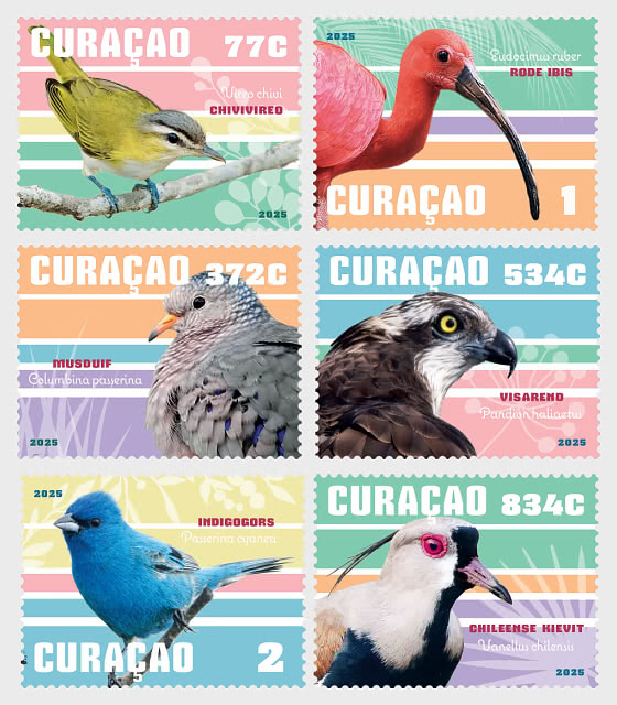 2025 Birds - Set