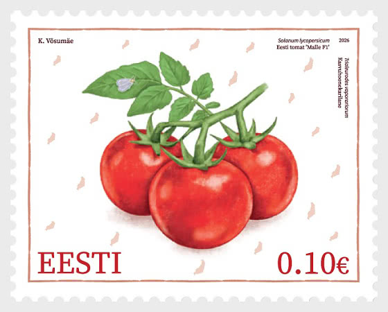 2026 Estnische Tomaten-Malve F1 & Gewächshaus-Weiße Fliege - Serie