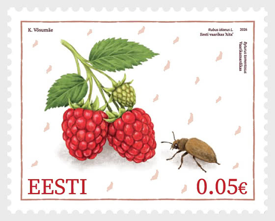 2026 Estnischer Himbeerkäfer & Himbeerkäfer - Serie