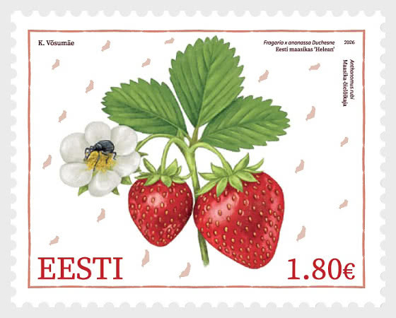 2026 Estnischer Erdbeer-Helean & Erdbeerblütenrüssler - Serie
