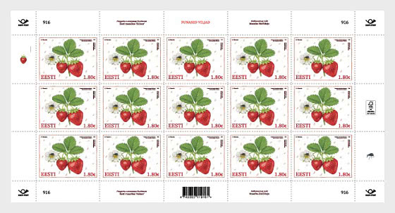 2026 爱沙尼亚草莓象鼻虫和草莓花象鼻虫 - 小版张