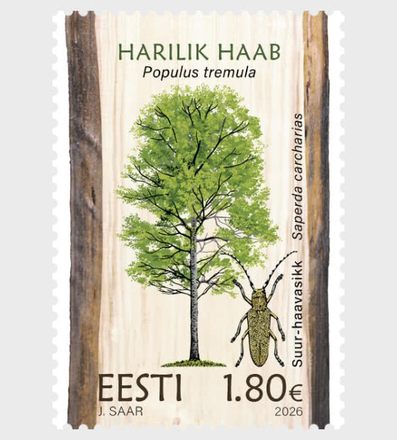 2026 Estonian Forest Trees - Populus Tremula & Saperda Carcharias - Set