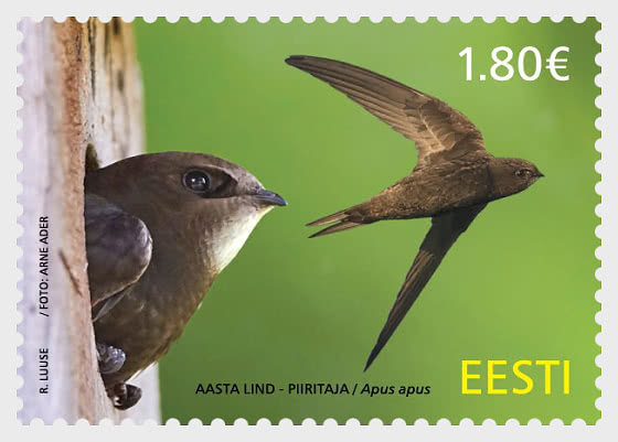2026 Aves de Estonia - Vencejo Común - Series