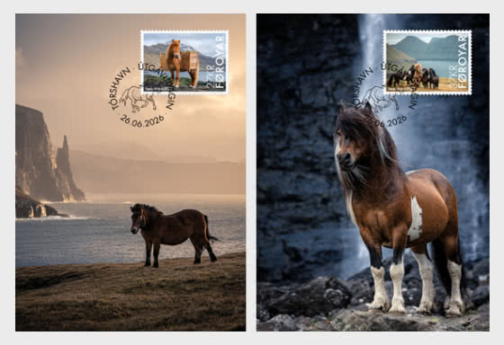 2026 Faroese Horse - Maxi Cards
