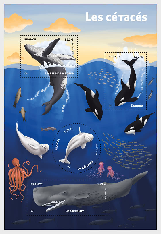 2026 Cetacei - Foglietti