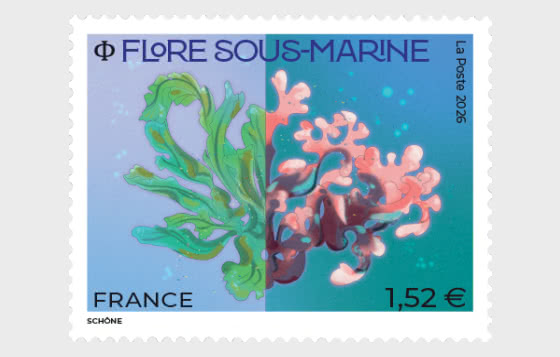 2026 Underwater Flora - Set