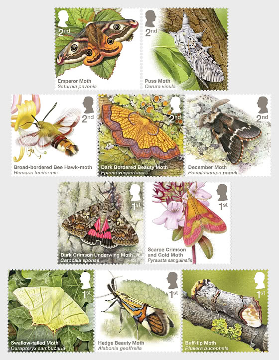2026 PRE-ORDER Moths - Set