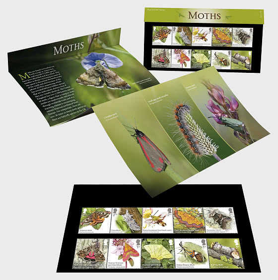 2026 PRE-ORDER Moths - Presentation Pack