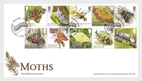 2026 PRE-ORDER Moths - First Day Cover
