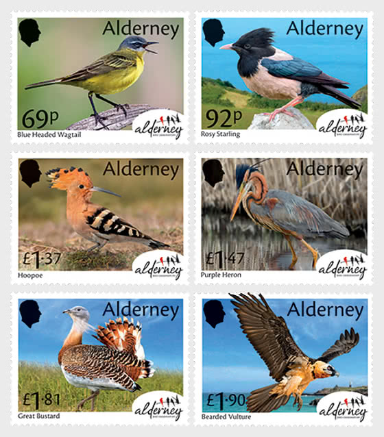 2026 PRE-ORDER Observatorio de aves de Alderney - Series