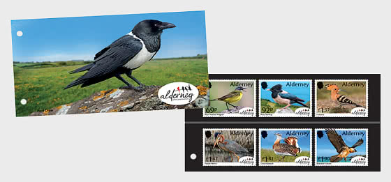 2026 PRE-ORDER Орнитологическая обсерватория Олдерни - Пакет презентаций