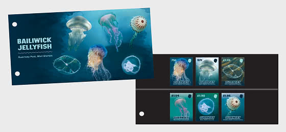 2026 PRE-ORDER Bailiwick Jellyfish - Presentation Pack
