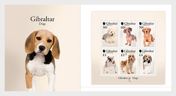 2026 PRE-ORDER Dogs - Pack Miniature Sheet