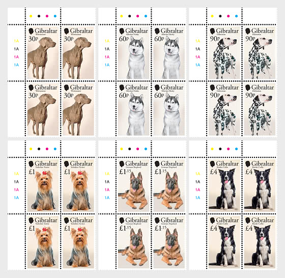 2026 PRE-ORDER Perros - Bloque de 4 CTO