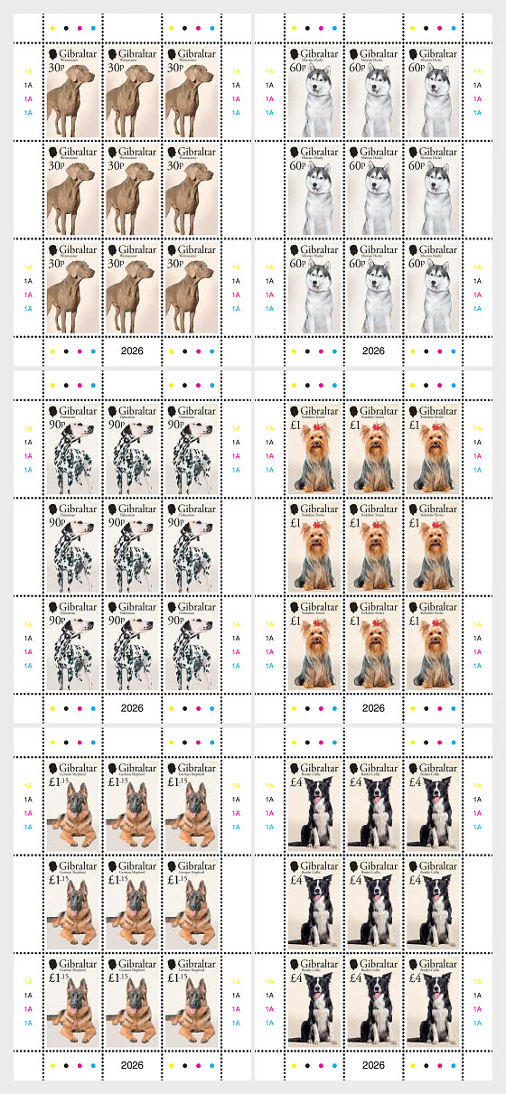 2026 PRE-ORDER Perros - Folios enteros CTO