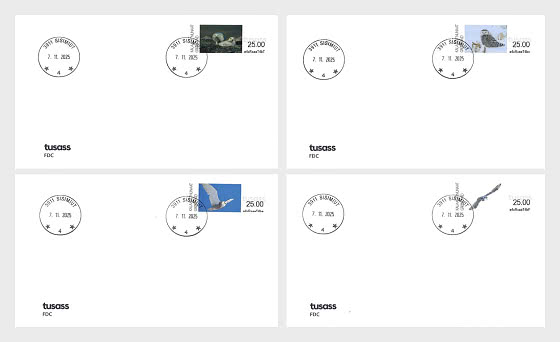 2025 Etichette di Affrancatura - Gufi delle Nevi in ​​Groenlandia - FDC singoli francobolli
