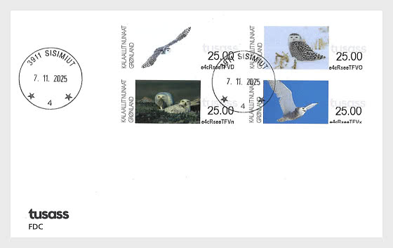 2025 Etichette di Affrancatura - Gufi delle Nevi in ​​Groenlandia - FDC