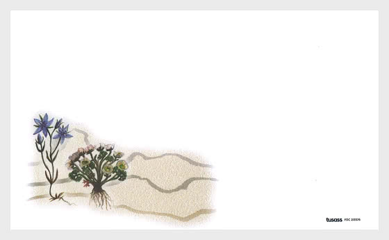 2026 格陵兰植物——第二部分 - 首日封