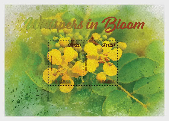 2025 Sussurri in Fiore - Foglietti