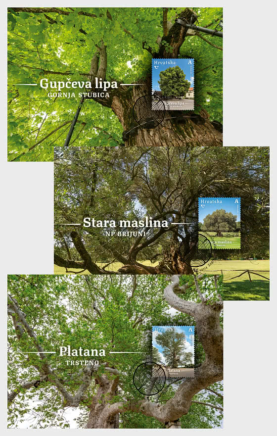 2026 Флора Хорватии - Монументальные деревья Хорватии (C) - Макси-карты