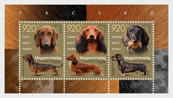 2026 Dachshund - Hojas Bloque